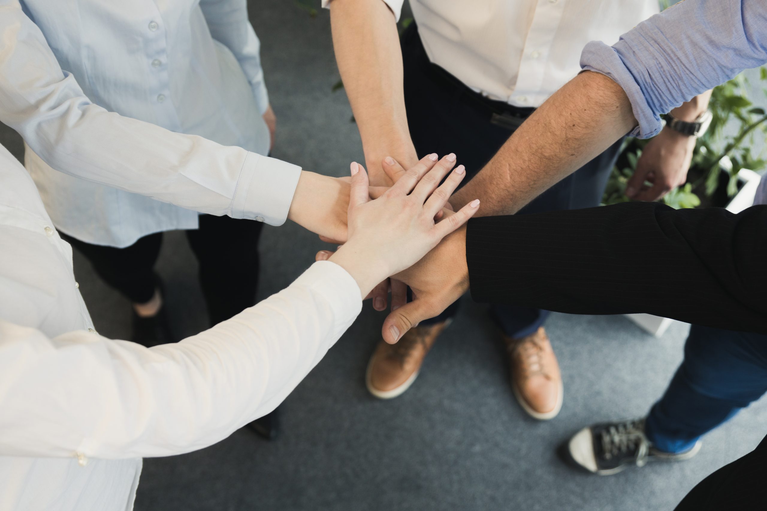Equip Professional D'una Empresa Fent Activitats Per Millorar La Cultura D'empresa